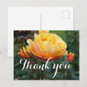 ありがとう アバウトフェイス ローズ #2 ポストカード (正面/裏面)