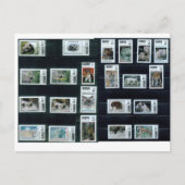 ありがとう!カード/珍しい葉書 ポストカード (正面)