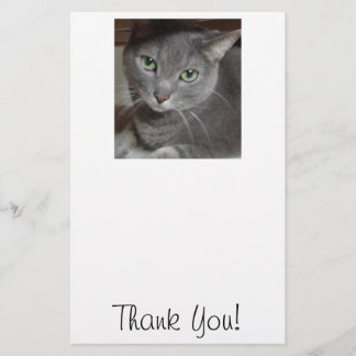 ありがとう/グレー猫 便箋