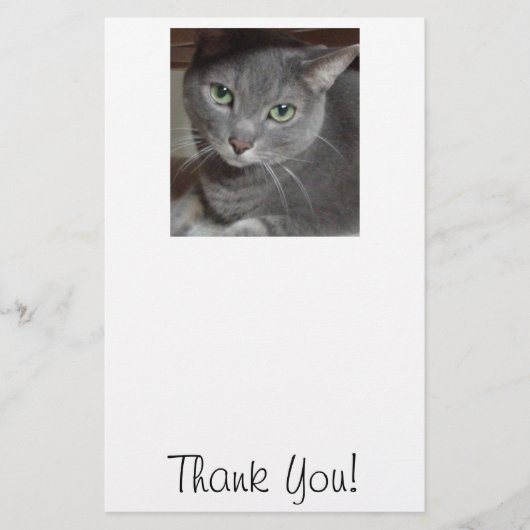 ありがとう/グレー猫 便箋 (正面)