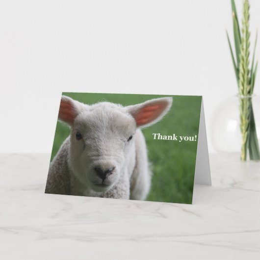 ありがとう！ サンキューカード (正面)