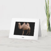 ありがとう! サンキューカード (裏面)