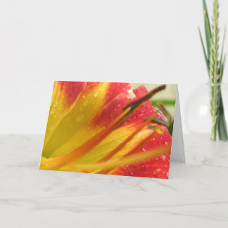 ありがとう サンキューカード