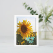 ありがとう シーズンカード (スタンド正面)