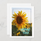 ありがとう シーズンカード (正面/裏面)