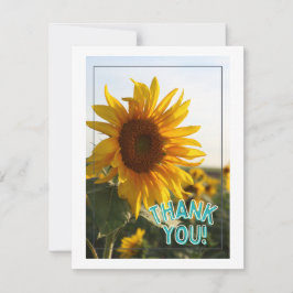 ありがとう シーズンカード