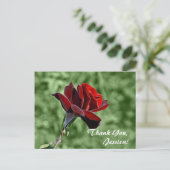 ありがとう、ジェシカ！ ポストカード (スタンド正面)