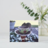 「ありがとう」チッピーのチモンチョウ ポストカード (スタンド正面)