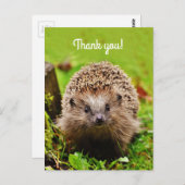 "ありがとう! パーソナライズで、小さいハリネズミ ポストカード (正面/裏面)