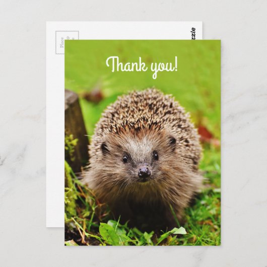 "ありがとう! パーソナライズで、小さいハリネズミ ポストカード (正面/裏面)