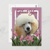 ありがとう – ピンクチューリップ – プードル – アプリコット ポストカード (正面/裏面)