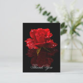 ありがとう ポストカード (スタンド正面)