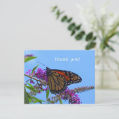 ありがとう ポストカード (スタンド正面)