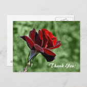 ありがとう ポストカード (正面/裏面)