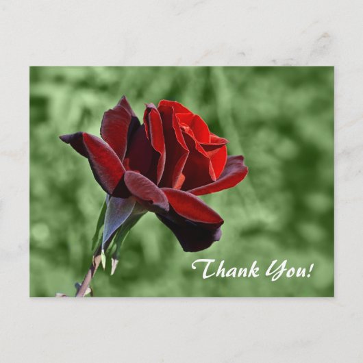 ありがとう ポストカード (正面)