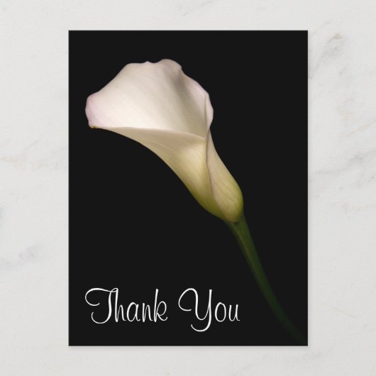 ありがとう ポストカード (正面)