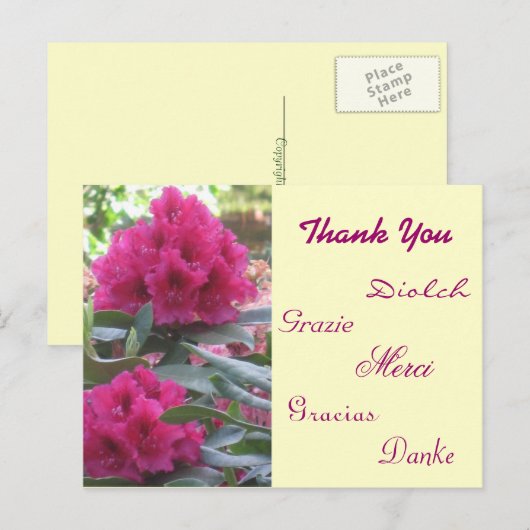 ありがとう ポストカード (正面/裏面)