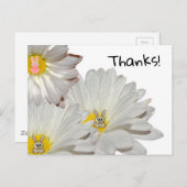 ありがとう ポストカード (正面/裏面)