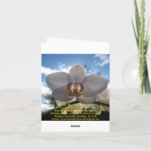 ありがとう、ルースター サンキューカード (裏面)