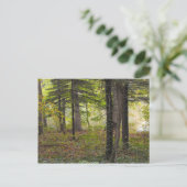 ありがとう、兵隊さん、DSCF7047 ポストカード (スタンド正面)