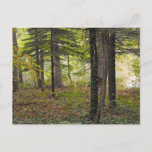 ありがとう、兵隊さん、DSCF7047 ポストカード (正面)