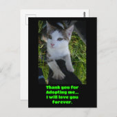 ありがとう 私を迎えてくれて.. 猫は永遠にあなたのことを愛します ポストカード (正面/裏面)