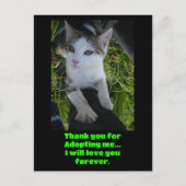 ありがとう 私を迎えてくれて.. 猫は永遠にあなたのことを愛します ポストカード (正面)