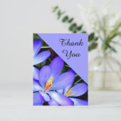 ありがとう、花 ポストカード (スタンド正面)