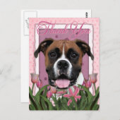 ありがとう – Boxer - Vindy ポストカード (正面/裏面)