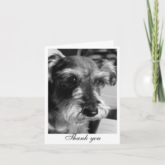 ありがとう(Charmin) サンキューカード (正面)