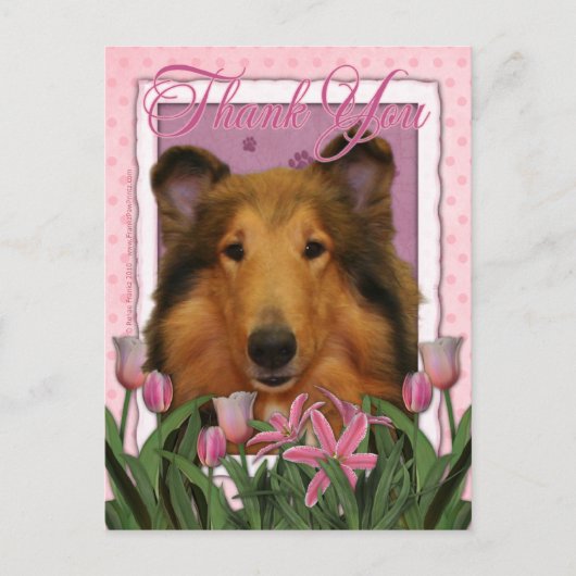 ありがとう – Collie - Natalie ポストカード (正面)