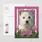 ありがとう – Pink Tulips - West Highland Terrier ポストカード (正面/裏面)