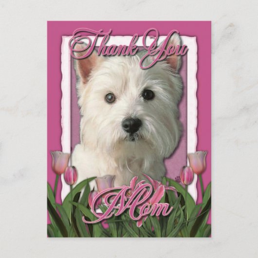 ありがとう – Pink Tulips - West Highland Terrier ポストカード (正面)
