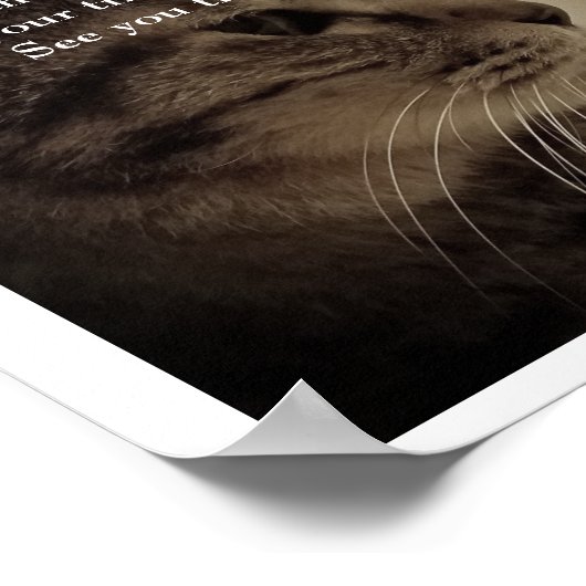 ありがとう&RIP ポスター (角)