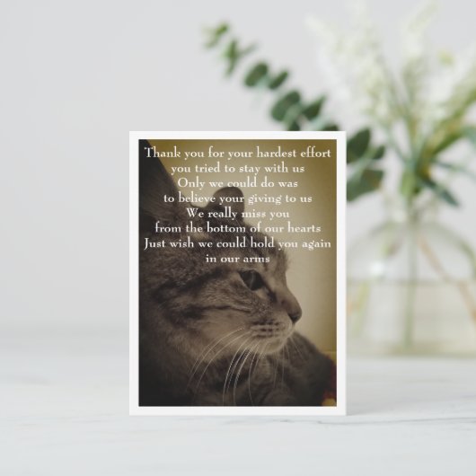 ありがとう＆RIP ポストカード (スタンド正面)