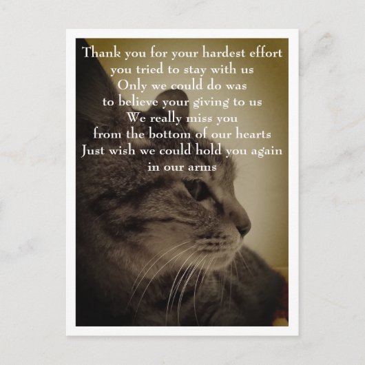 ありがとう＆RIP ポストカード (正面)