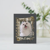 ありがとう – Stone Paws -マルチーズ ポストカード (スタンド正面)