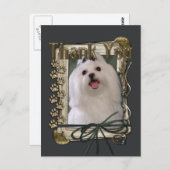 ありがとう – Stone Paws -マルチーズ ポストカード (正面/裏面)