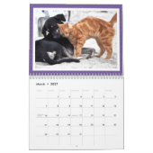 ありそうでない動物の友情 2026年 カレンダー (3月 2027)