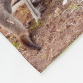 「ありそうもない仲間：カンガルーとEMUの友情」 フリースブランケット (角)