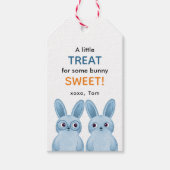 あるかわいいウサギの男の子のパーティーのための小さなお菓子 ギフトタグ (正面)