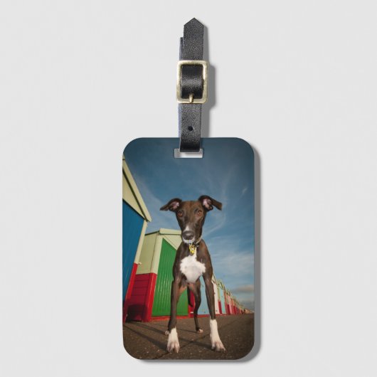 あるビーチ小屋の前に立っているラーチャー ラゲッジタグ (正面縦)