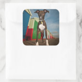 あるビーチ小屋の前に立つ潜伏兵 スクエアシール (バッグ)