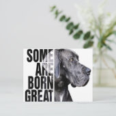 ある人は、生まれ平凡な恋人、贈り物犬好き 案内ポストカード (スタンド正面)