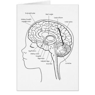 ある何があなたの頭脳に