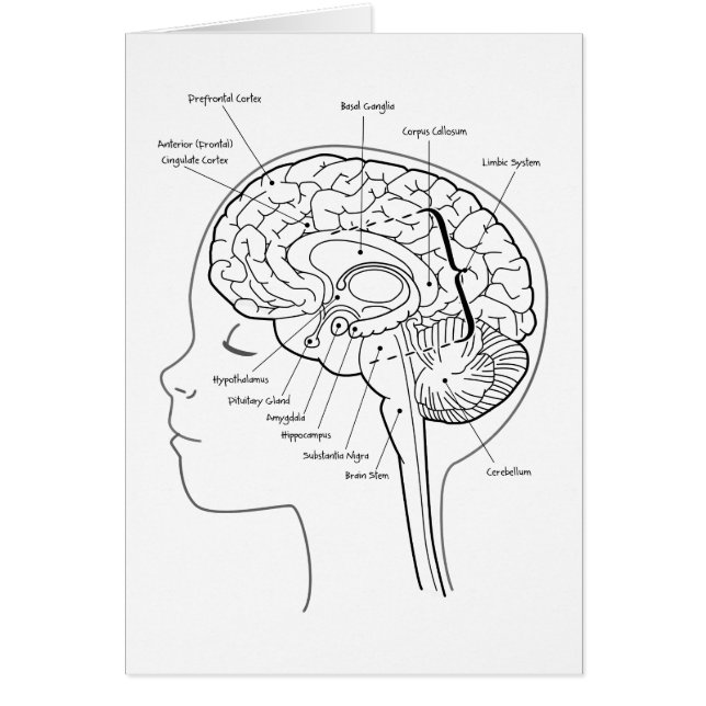 ある何があなたの頭脳に (正面)