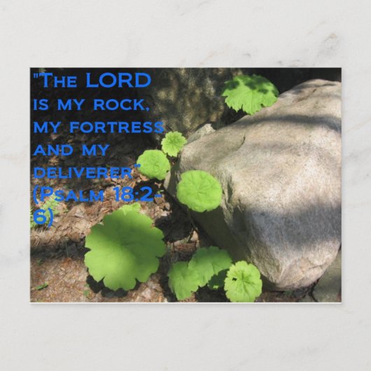 ある何が石の下に ポストカード (正面)