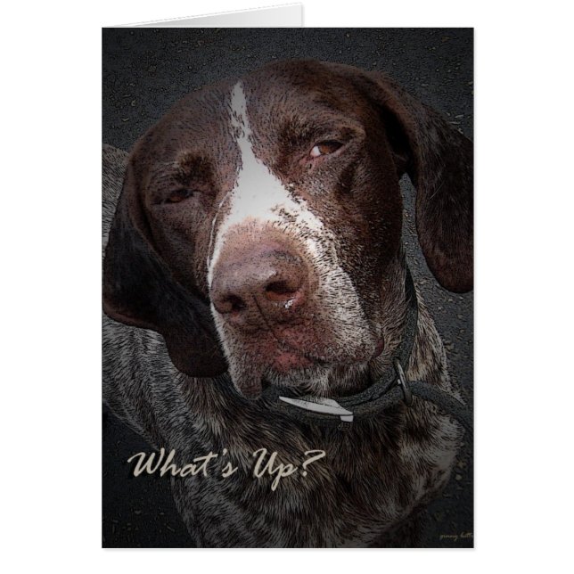 ある何が (正面)