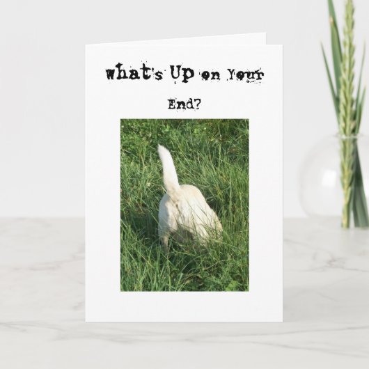 ある何が カード (正面)