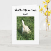 ある何が カード (黄色い花)